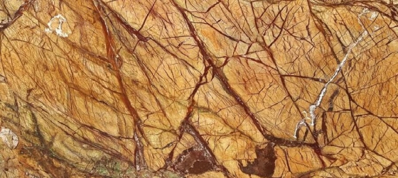 RainForest Brown Marble