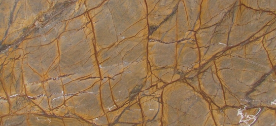 Rain forest Gold marble