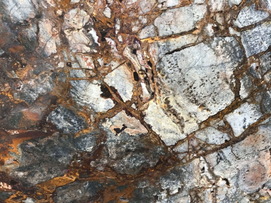 Arizona forest marble