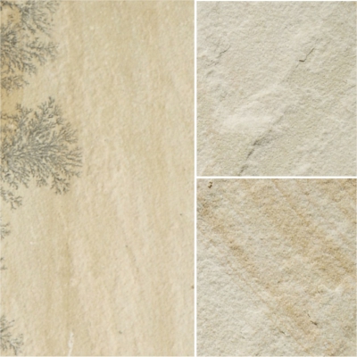 Fossil Mint Sandstone