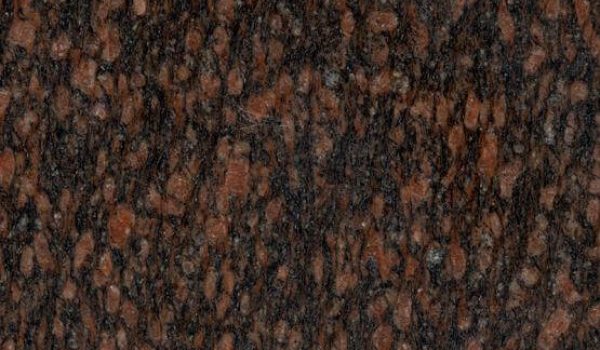 cats-eye-brown-4-555x415