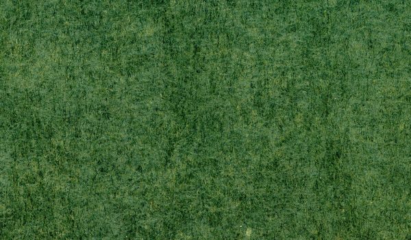 green-texture-closeup